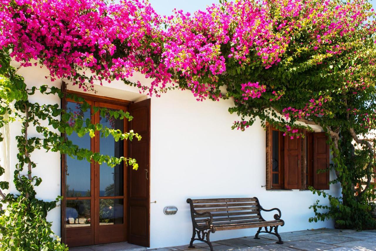 Villa Celestina, Great For Privacy And Seclusion Chrisopigi  Екстер'єр фото
